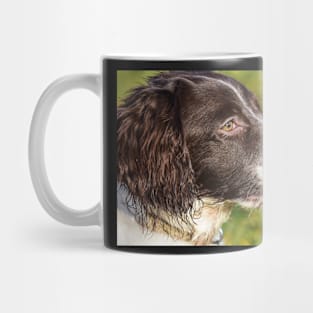 English Springer Mug